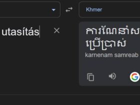A Google Fordító használata